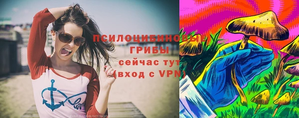 герыч Алексин