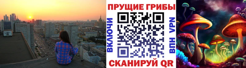 где можно купить   Ковылкино  Псилоцибиновые грибы прущие грибы 